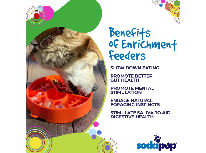 Great Outdoors Design eBowl Enrichment Slow Feeder Bowl for Green