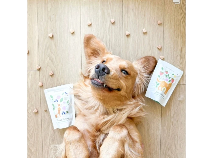 Love Bites  - All Natural, Organic Training Treats for Dogs