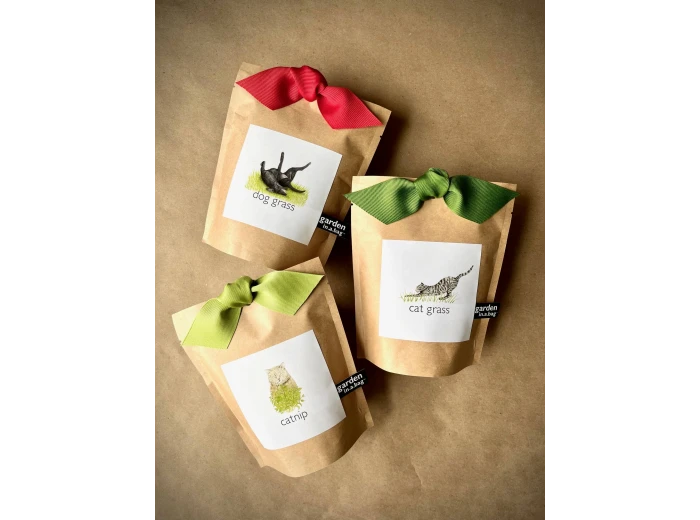 Garden in a Bag | Catnip | Great Christmas Gift idea