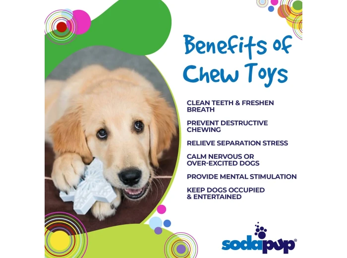 Snowflake Ultra Durable Christmas Nylon Dog Chew Toy