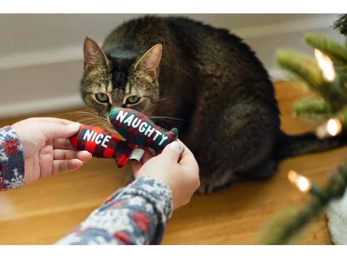 Christmas Naughty & Nice Cat Toys, Set of 2