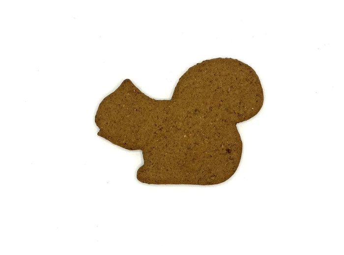 Display Crate REFILL, Cookies - Pumpkin Squash Squirrel