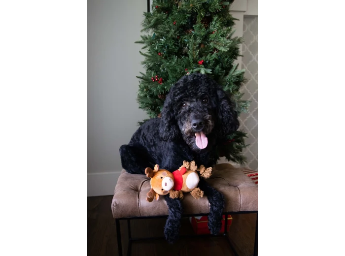 Reindeer Plush Rope Christmas Dog Toy