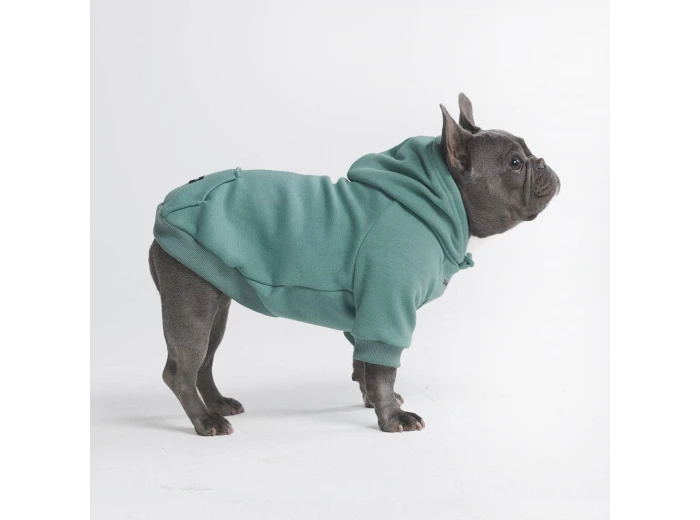 Essential Dog Hoodie - Teal M
