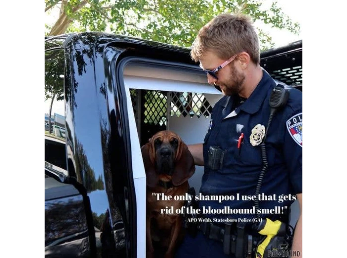 WHOLESALE DOG SHAMPOO + CONDITIONER FOX + HOUND ARGAN & AMBER