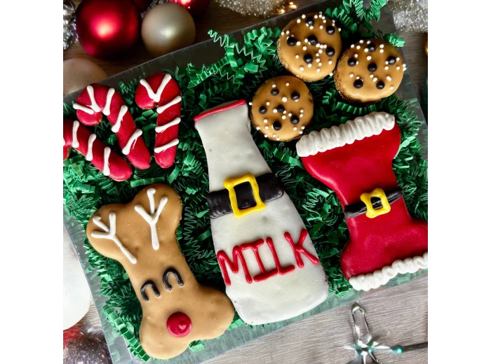 Treats for Santa Paws & Friends dog treats GIFT BOX