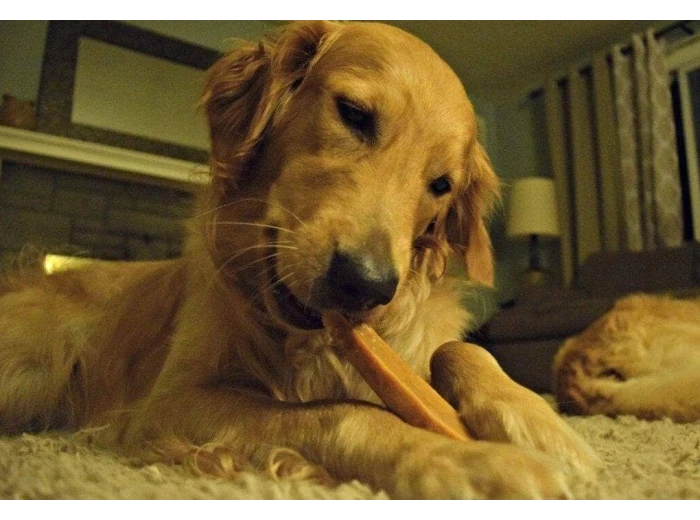 Gold Yak Dog Chews - 5 Pound Bag