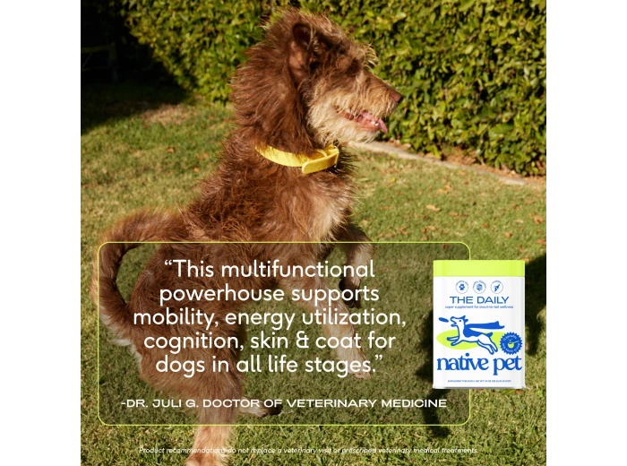 The Daily Powder Supplement, 11-in-1 Multivitamins for Dogs 14oz