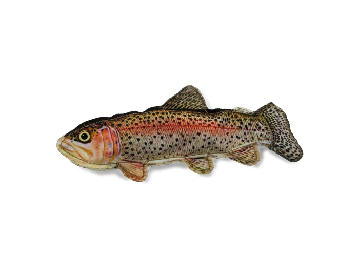 Denim Rainbow Trout
