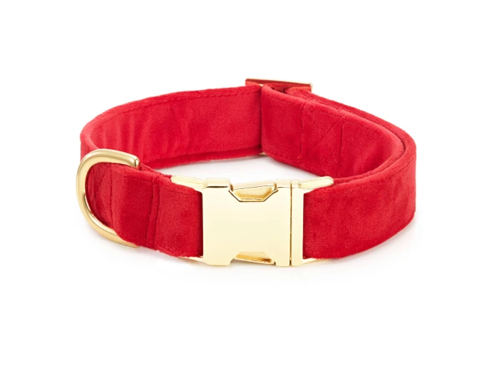 Cranberry Velvet Dog Collar S Gold