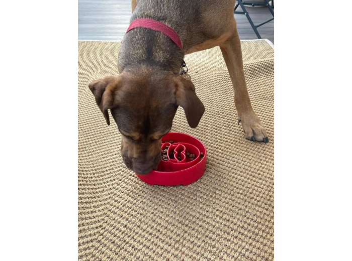 Santa Design eBowl Enrichment Slow Feeder Bowl for Dogs