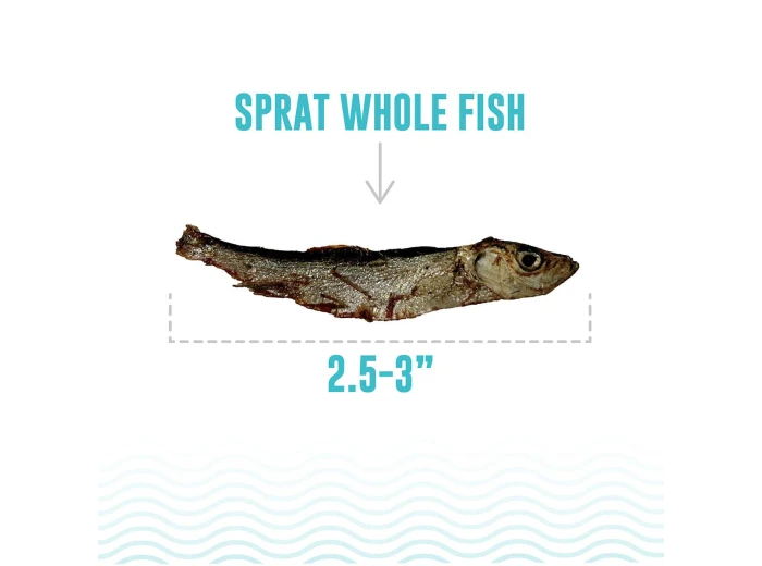 Icelandic Dog Sprats Whole Fish 2oz.