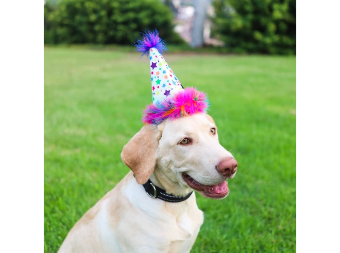 H&K Party Hat Superstar with SnugFit® LG