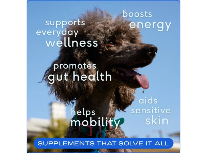 The Daily Powder Supplement, 11-in-1 Multivitamins for Dogs 7oz