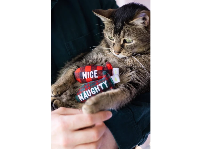 Christmas Naughty & Nice Cat Toys, Set of 2