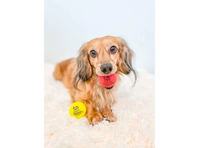 Fetch and Glow Ball Small
