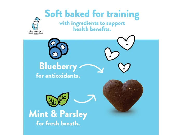 Blueberried Treasure Soft Baked Dog Treats