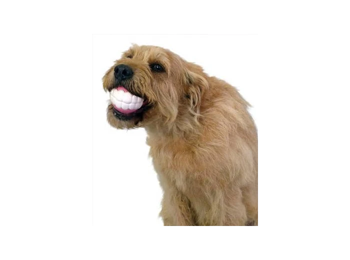 Humunga Chomp Standard
