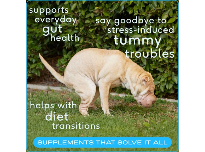 Probiotic & Prebiotic Powder Vet-Formulated Supplement 16.4 oz