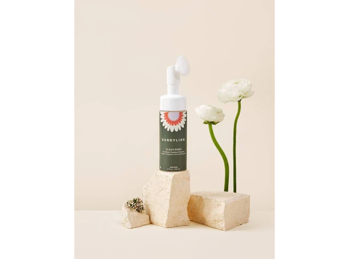 Clean Paws No-Rinse Foaming Cleanser
