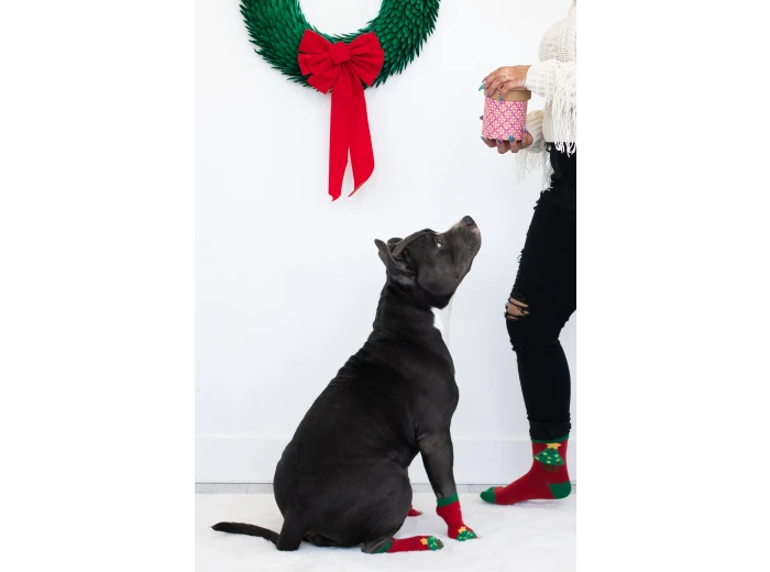Human and Dog Matching Christmas Sock Set, Christmas Tree