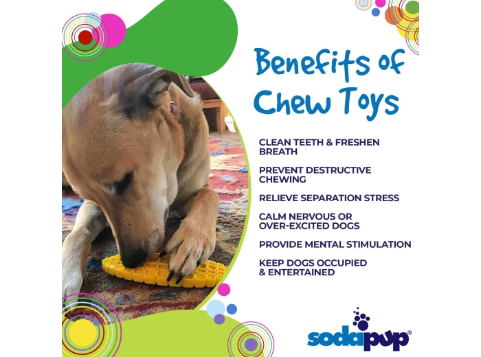 SP Nylon Corn on the Cob Chew Toy - Medium/Large