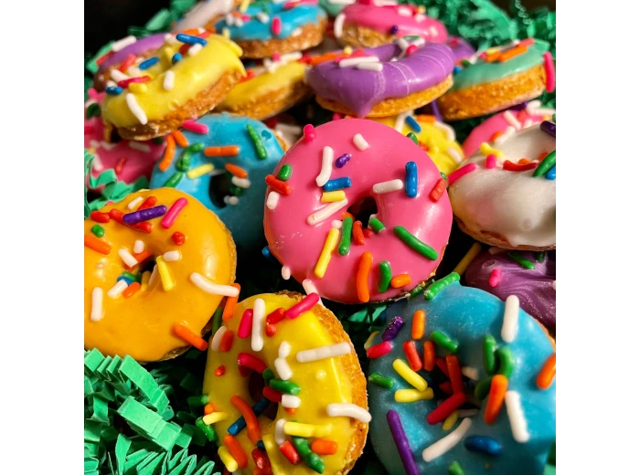 Mini 🍩 dog treats