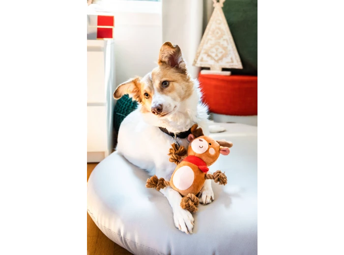 Reindeer Plush Rope Christmas Dog Toy