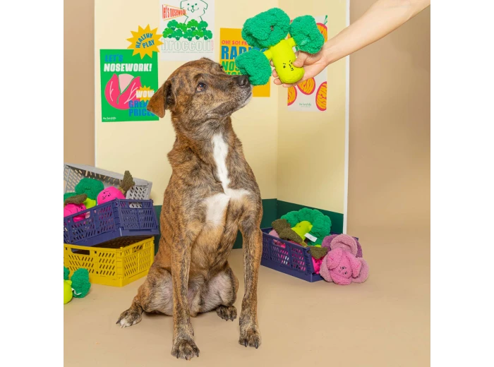 Broccoli Nose Work Toy