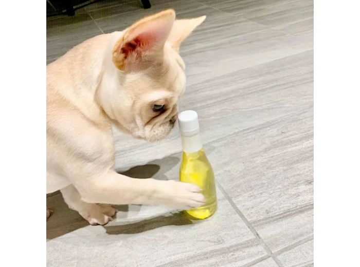 CharDOGnay Fish Oil + Bone Health Dog Wine Liquid Supplement