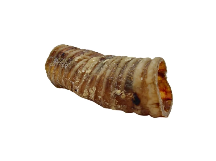 6" Beef Trachea Dog Treat - All-Natural Dog Chews (25/case)