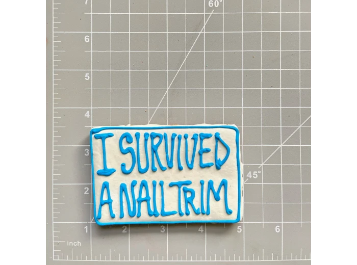 Spaw Day Cookies I Survived a Nail Trim Packaged