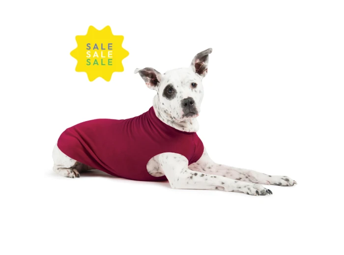 Discontinued Stretch Fleece - On Sale! Fuchsia