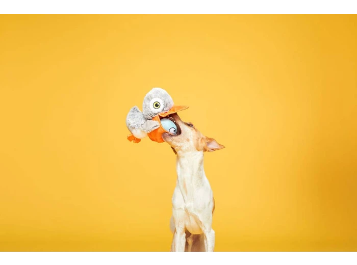BARK Big Bill & Beak-A-Boo Fish