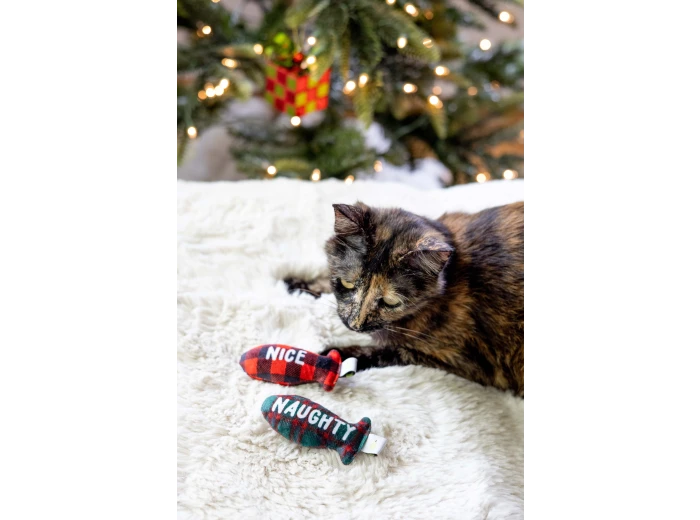 Christmas Naughty & Nice Cat Toys, Set of 2