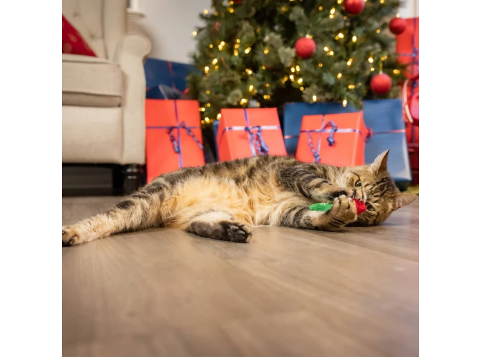 Good/Bad Kitty Stocking For Cats
