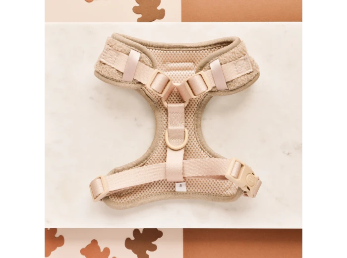 Theo Embroidered Teddy Adjustable Neck Harness XS