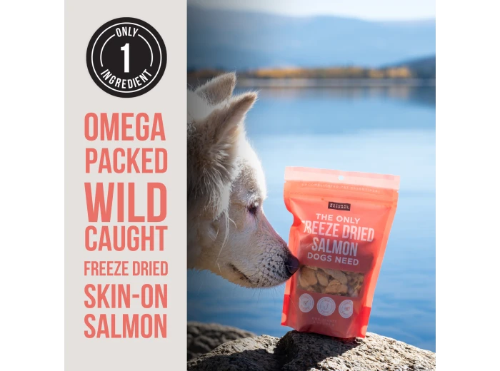 The Only Freeze Dried Salmon Dogs Need Sample Size - Approx. 1 ounce