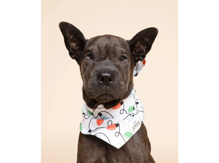 Twinkle Christmas Dog Bandana XL