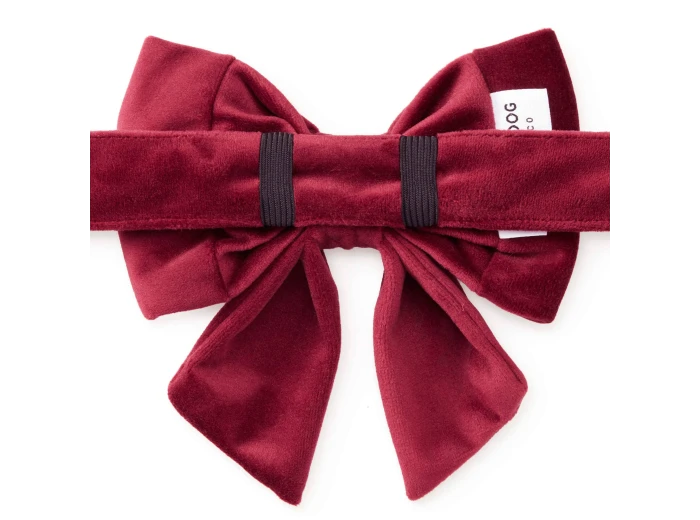 Burgundy Velvet Lady Dog Bow Small