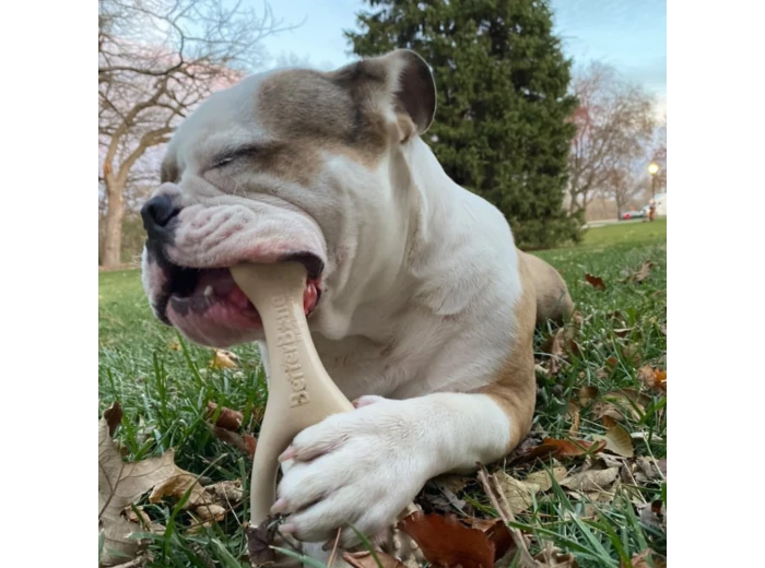 BetterBone SOFT- All-Natural, Safer on Teeth, Sustainable Beef
