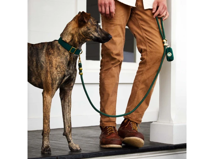 Evergreen Marine Rope Dog Leash Petite 5 Feet