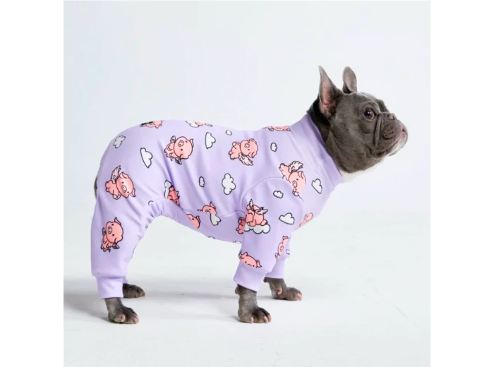 Dog Pajama - When Pigs Fly L