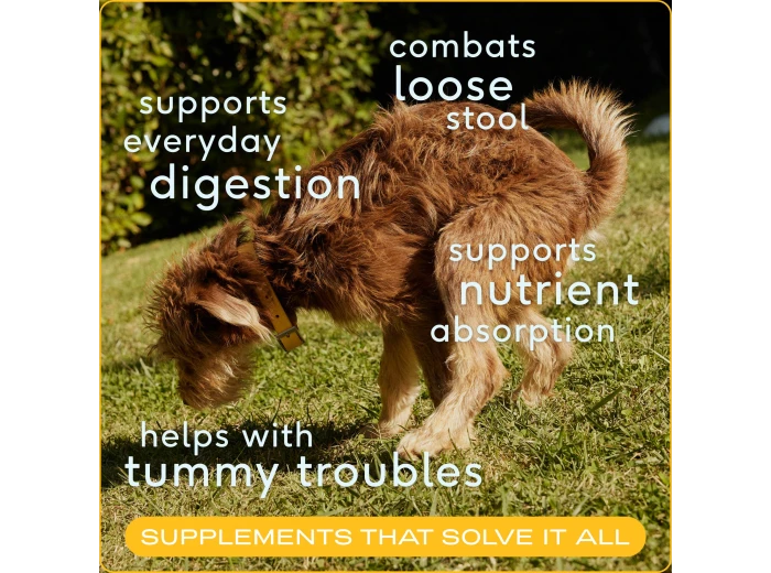 Organic Pumpkin Fiber Powder, Digestive Supplement for Dogs 8 oz