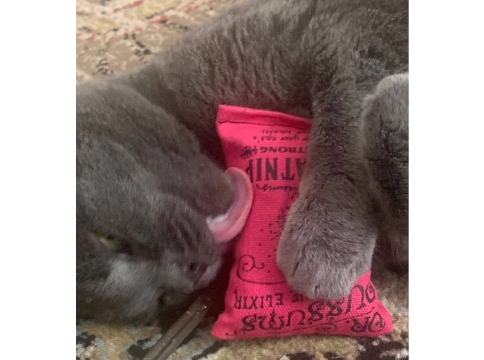 Regular Logo Catnip Pillow Catnip Toy