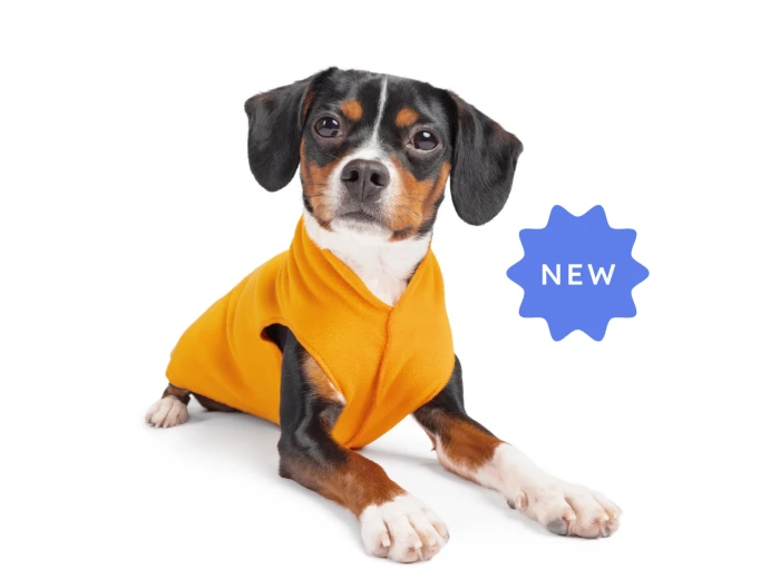 Stretch Fleece Sizes 14-30 Turquoise