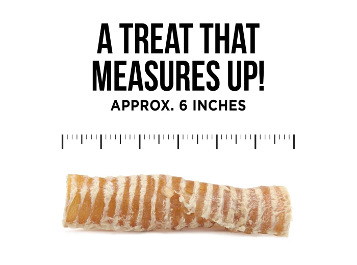 The Only Beef Trachea Chews Dogs Need
