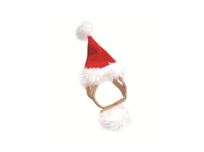 Santa Hat L