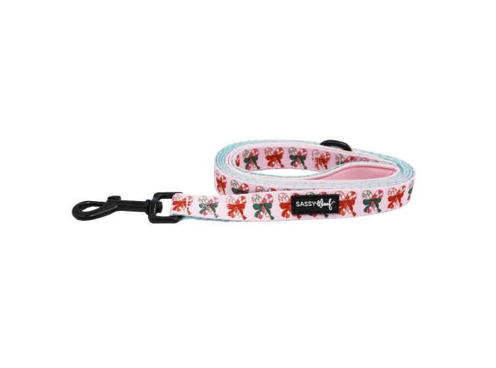 Dog Leash - Candy Cane Coquette (Christmas)