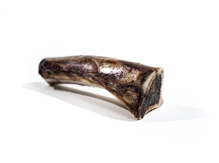 Bison Marrow Bone - 6-8"